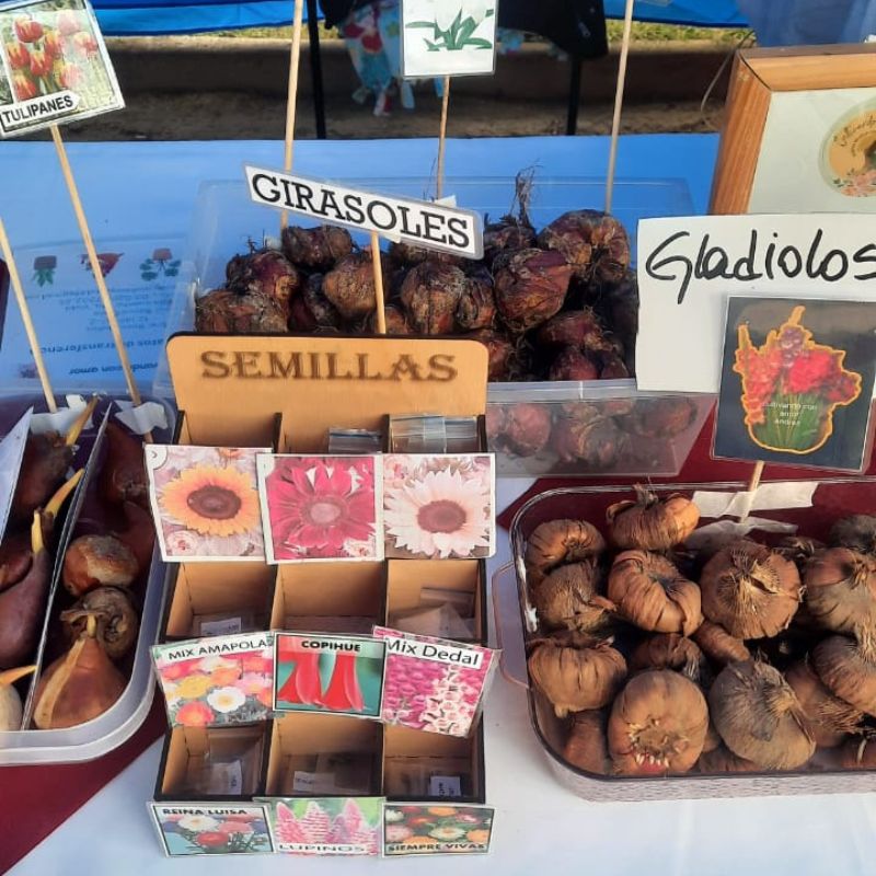 Cultivando con amor
